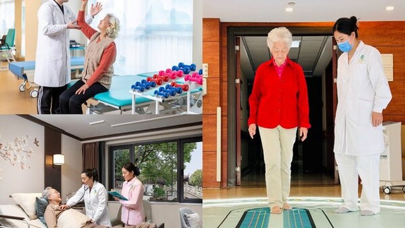 失能老人护理协议书：一份保障与信任的承诺